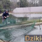 Polski Związek Wędkarski Żywiec Zabłocie
