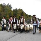Foto-Gmina Węgierska Górka