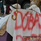 zdjęcie nr 22