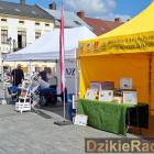 zdjęcie nr 27