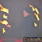 zdjęcie nr 174