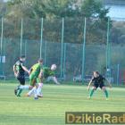zdjęcie nr 12