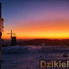 Fot. Danuta Ptak