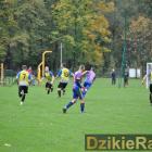 zdjęcie nr 37