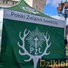 zdjęcie nr 41