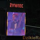 zdjęcie nr 24