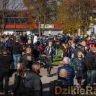 zdjęcie nr 432
