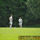 zdjęcie nr 186