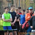 zdjęcie nr 14