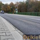 zdjęcie nr 8
