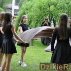 zdjęcie nr 19