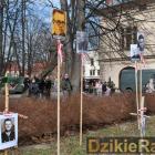 zdjęcie nr 10
