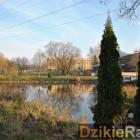 zdjęcie nr 45