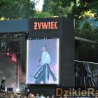 zdjęcie nr 120