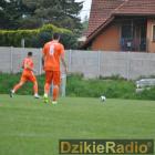 zdjęcie nr 131