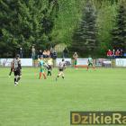 zdjęcie nr 10