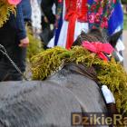 zdjęcie nr 26