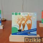 zdjęcie nr 13