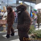 zdjęcie nr 70