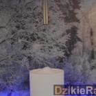 zdjęcie nr 225