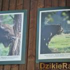zdjęcie nr 23