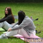 Fotka nr 3 z 49