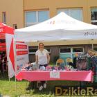 zdjęcie nr 22
