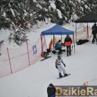 zdjęcie nr 181