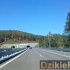 zdjęcie nr 136