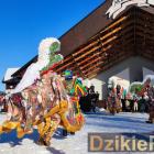 zdjęcie nr 75