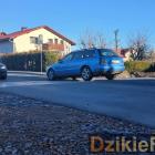 Fot: DzikieRadio®