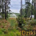 Fot. Komenda Powiatowa PSP w Żywcu