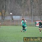 zdjęcie nr 131