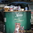 zdjęcie nr 44
