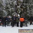 zdjęcie nr 20