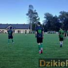 zdjęcie nr 183
