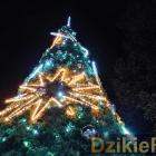zdjęcie nr 177