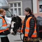 Fotka nr 4 z 168