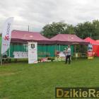 zdjęcie nr 51