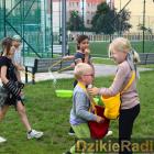 zdjęcie nr 30