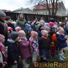 zdjęcie nr 74