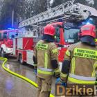 zdjęcie nr 11