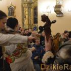 zdjęcie nr 74