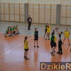 zdjęcie nr 126