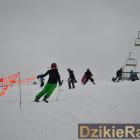 zdjęcie nr 122