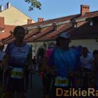 zdjęcie nr 114
