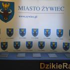 Fotka nr 3 z 25
