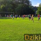 Fotka nr 0 z 62