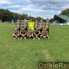 Fotka nr 4 z 14