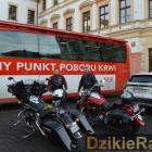 zdjęcie nr 22